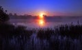 Misty Sunrise reflected in a still lake, silhouetting Bulrushes