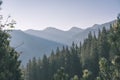 misty sunrise in Slovakian Tatra mountains with light lanes in fog over dark forest. autumn in hiking trails - vintage old film