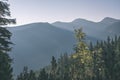 misty sunrise in Slovakian Tatra mountains with light lanes in fog over dark forest. autumn in hiking trails - vintage old film