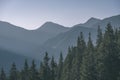 misty sunrise in Slovakian Tatra mountains with light lanes in fog over dark forest. autumn in hiking trails - vintage old film