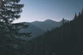 misty sunrise in Slovakian Tatra mountains with light lanes in fog over dark forest. autumn in hiking trails - vintage old film