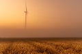 Misty sunrise in summer time with wheat fields crop and eolian mill