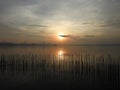 Misty Sunrise, Sungei Buloh Wetland, Singapore Royalty Free Stock Photo