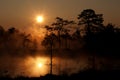 Misty sunrise in Viru Bog Royalty Free Stock Photo