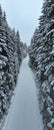 Misty Sunset on the Snowy Mountains aerial drone point of view Forests cross country paths in pine trees winter with Royalty Free Stock Photo