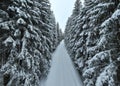 Misty Sunset on the Snowy Mountains aerial drone point of view Forests cross country paths in pine trees winter with Royalty Free Stock Photo