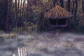 Misty swamp landscape with a tree hut at the river side, jungle nature scenery Royalty Free Stock Photo