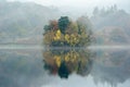 Misty tranquil reflections in autumn by Rydal water in the Lake District