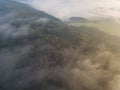 Misty trees from above. Aerial view of Morning fog and sunrise in autumn. Beautiful romantic atmosphere in landscape. Summer time Royalty Free Stock Photo