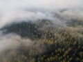 Misty trees from above. Aerial view of Morning fog and sunrise in autumn. Beautiful romantic atmosphere in landscape. Summer time Royalty Free Stock Photo