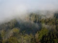 Misty trees from above. Aerial view of Morning fog and sunrise in autumn. Beautiful romantic atmosphere in landscape. Summer time Royalty Free Stock Photo