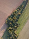 Misty trees from above. Aerial view of Morning fog and sunrise in autumn. Beautiful romantic atmosphere in landscape. Summer time Royalty Free Stock Photo