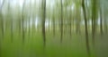 Misty trees - woodland with soft focus