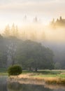 Misty trees by River Brathay, Lake District, UK.