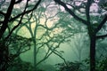 misty treetops with vibrant green leaves at dawn Royalty Free Stock Photo