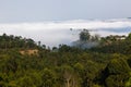 Misty Valley Hills Farmland