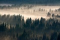 misty valley scenery at sunrise