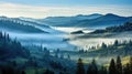 misty valley wood fog landscape
