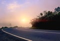 Misty Vibe of a Morning drive Royalty Free Stock Photo