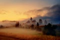 Misty village at dusk