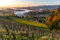 Misty vineyard valley bathed by soft, warm sunrise light, Styria, Austria. Royalty Free Stock Photo