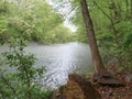 Misty Water over Smith River Royalty Free Stock Photo