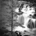 Misty Waterfall Water Cascade Down Rocks With Pine Tree