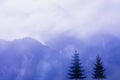 Dark Silhouettes of two fir trees against the backdrop of mountains in the fog.