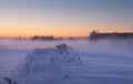 Misty winter dawn. Colorful Christmas background.