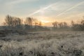 Misty winter dune landscape at sunrise Royalty Free Stock Photo