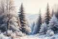 Misty winter forest with spruces, birches, and maples Royalty Free Stock Photo