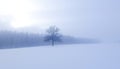 Misty winter landscape, serene and foggy scene, Stock Photo, Generative AI