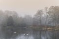 A misty winter morning in the park