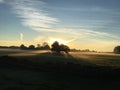 Misty winter sunrise with old trees (2) Royalty Free Stock Photo