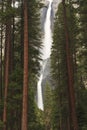 Misty Yosemite Falls through Forest Royalty Free Stock Photo