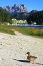 Misurina Lake Royalty Free Stock Photo