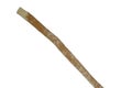 Miswak stick isolated on white background. Royalty Free Stock Photo