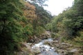 Mitake Shosenkyo gorges and moutain stream with red autumn leaves