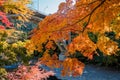 Mitake town and Tama river in autumn season.