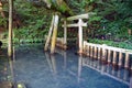 Mitarashi Pond in Kashima Shrine