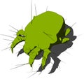 Mite - close up Royalty Free Stock Photo