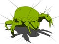 Mite - close up Royalty Free Stock Photo