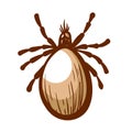 Mite hand drawn icon. Parasite obligate external. Insect sucking human, animal blood pictogram. Royalty Free Stock Photo