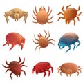 Mite icons set, cartoon style