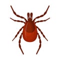 Mite. Image of a parasite tick. The blood-sucking insect is a pest. Vector illustration isolated on a white background Royalty Free Stock Photo
