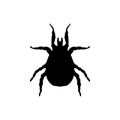 Mite parasite black silhouette animal