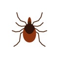 Mite tick insect single flat color vector icon Royalty Free Stock Photo