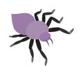 Mite skin parasite vector illustration