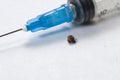 Mite and syringe tool Royalty Free Stock Photo