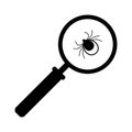 Mite, Tick Bug Under Magnifying Glass. Mite Testing, Research